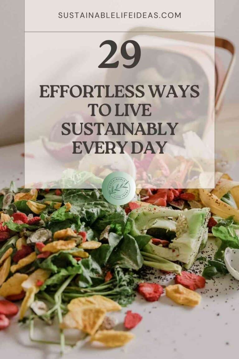 29 Super Easy Ways To Be More Sustainable in Life ...