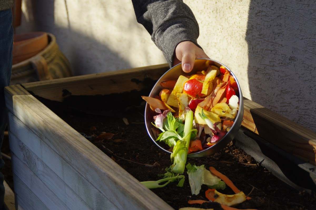 A person holding a bowl of kitchen waste in a raised garden bed.